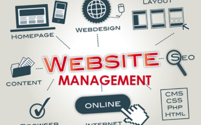 Tackle Website Downtime with a Hassle-Free Website Management & Support Package
