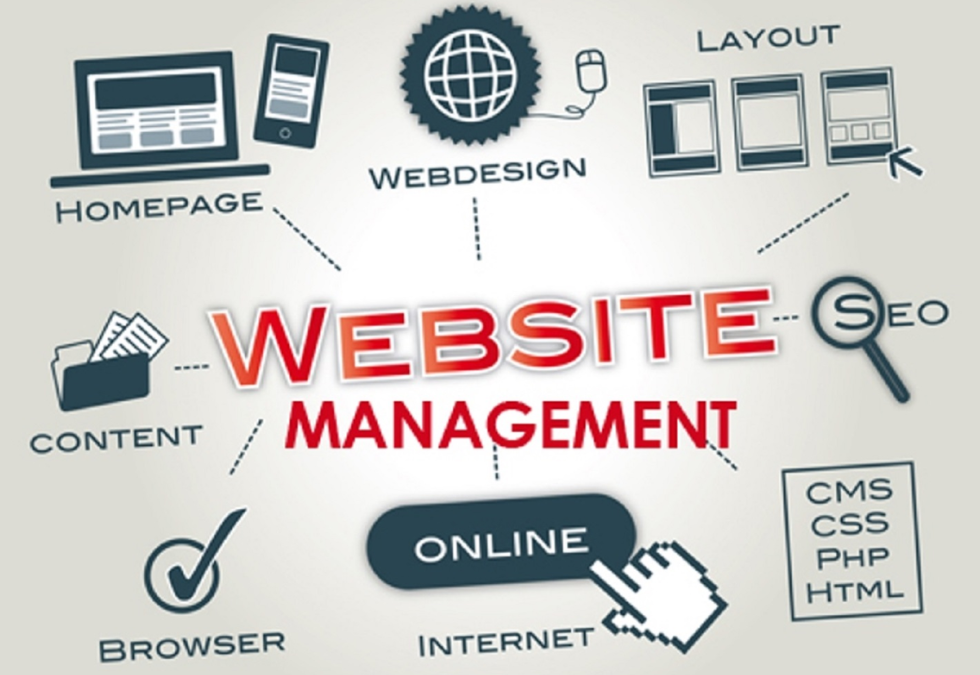 Tackle Website Downtime with a Hassle-Free Website Management & Support Package