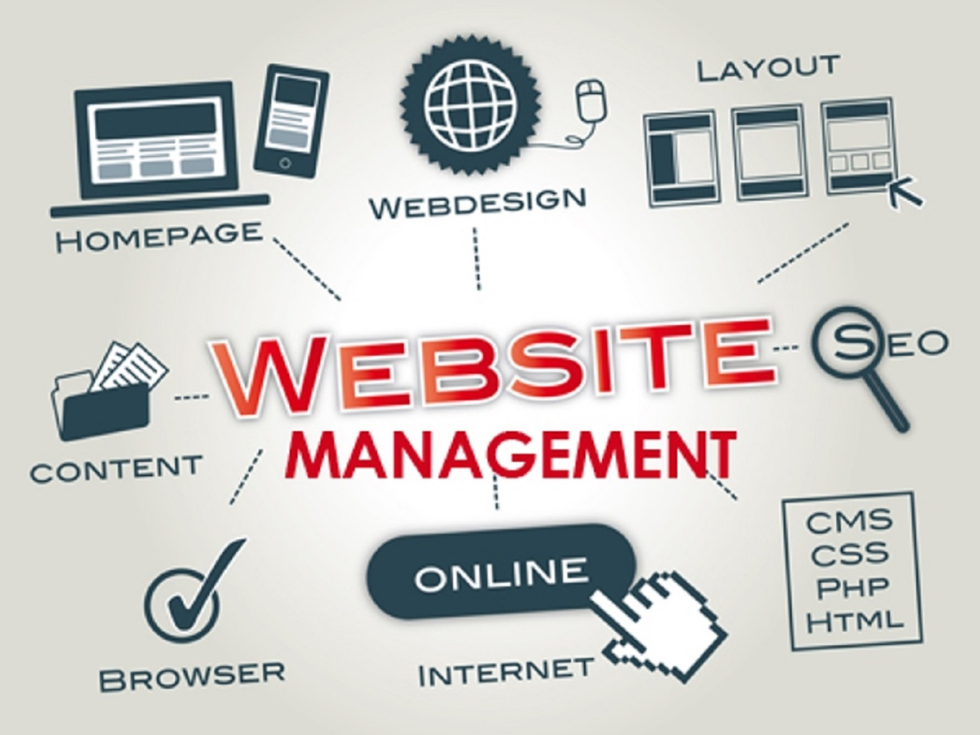 Website Management 2